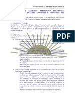 TEMA 1: La Audición: Percepción, Psicología, Memoria y Análisis. Anatomía y Fisiología Del Oído.