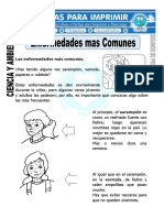 Ficha de Enfermedades Comunes para Segundo de Primaria