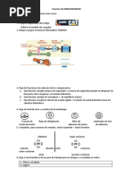 Examen de MINICARGADOR (29) .Docx Javieer