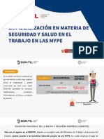 La Fiscalización en SST MYPEs 2023