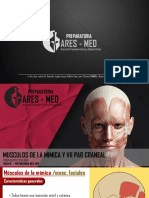 Anatomía - Mus. de La Mimica Facial y Vii Par Craneal