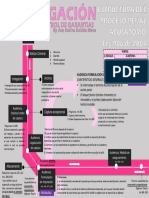 Pasos Proceso Penal 906-04 - Investigacion - Ana Karina Roldan Mena