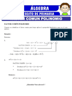 Ejercicios de Factor Comun Polinomio para Sexto de Primaria