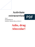 Activitate Extracurriculară