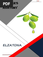 Elzatona Anatomy 2023