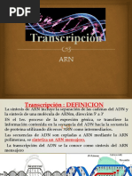 TRANSCRIPCION