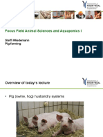 Lecture Swine Husbandry