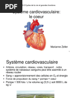 2016 Systeme Cardiovasculaire Le Coeur