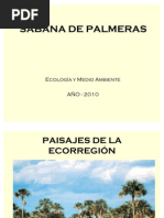 Sabana de Palmeras 3.11.