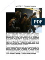 Fundamentos Del INTERVENCION POLICIAL