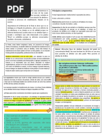 Conservas-Frutas en Almibar Resumen