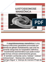 Esquistossomose Slide