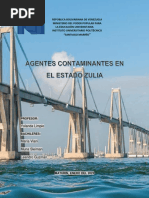 Agentes Contaminantes en El Estado Zulia