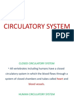 Circulatory System