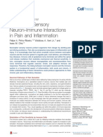 Nociceptor Sensory Neuron-Immune Interactions in Pain and Inflammation