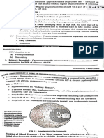 Epidemiology SPM Falcon 23 Feb 3