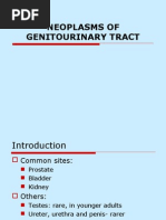 Neoplasms of The Genitourinary Tract