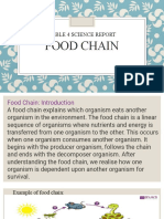 Food Chain