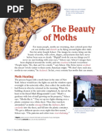 The Beauty of Moths: Moth Hunting