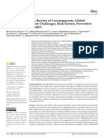 Colorectal Cancer - 2022 Review of Carcinogenesis, Global Epidemiology, Risk Factors