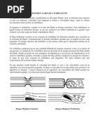 Regimen Laminar y Turbulento