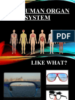 1 Respiratory System