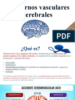 Trastorn Os Vascular Es Cerebral Es