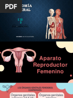 Clase Aparato Reproductor Femenino