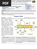 3er Año Biologia Practica - N°3