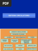 Sistema Circulatorio