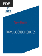 Módulo Tres Formulación de Proyectos - Presentaciónv1