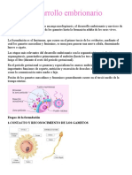 Desarrollo Embrionario