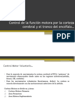 Control de La Función Motora Por La Corteza - Canvas