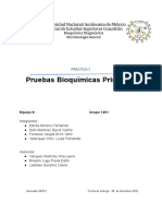 Pruebas Primarias y Pruebas Secundarias