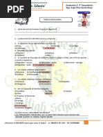 Anatomia - Aparato Digestivo - Cuestionario TANIA