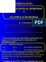 01 Embriologia Del Aparato Genital Dr. Kobayashi