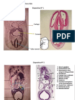 Laboratorio 2 Resuelto