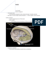 Anat. TB Meninges