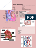 Cardio y Respiratorio