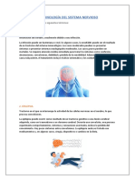 Terminología Del Sistema Nervioso