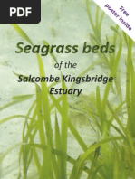 Salcombe Seagrass Beds Leaflet