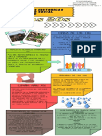 Infografía Perspectivas Historícas Del TRSO Comunitario