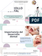 Desarrollo Dental