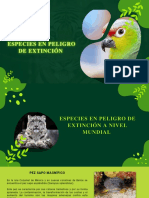 2022 07 07 22 35 27 202210040135 Especies en Peligro de Extincion