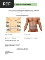 E.F Del Abdomen