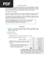 Clasificación de Palabras