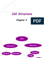 Chapter 4 BIO 1510