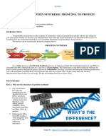 Activity 5 From DNA To Protein