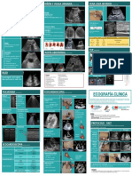 0 Ecografía Clínica de Bolsillo Tríptico.