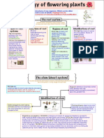 Morphology of Flowering Plants Mind Map